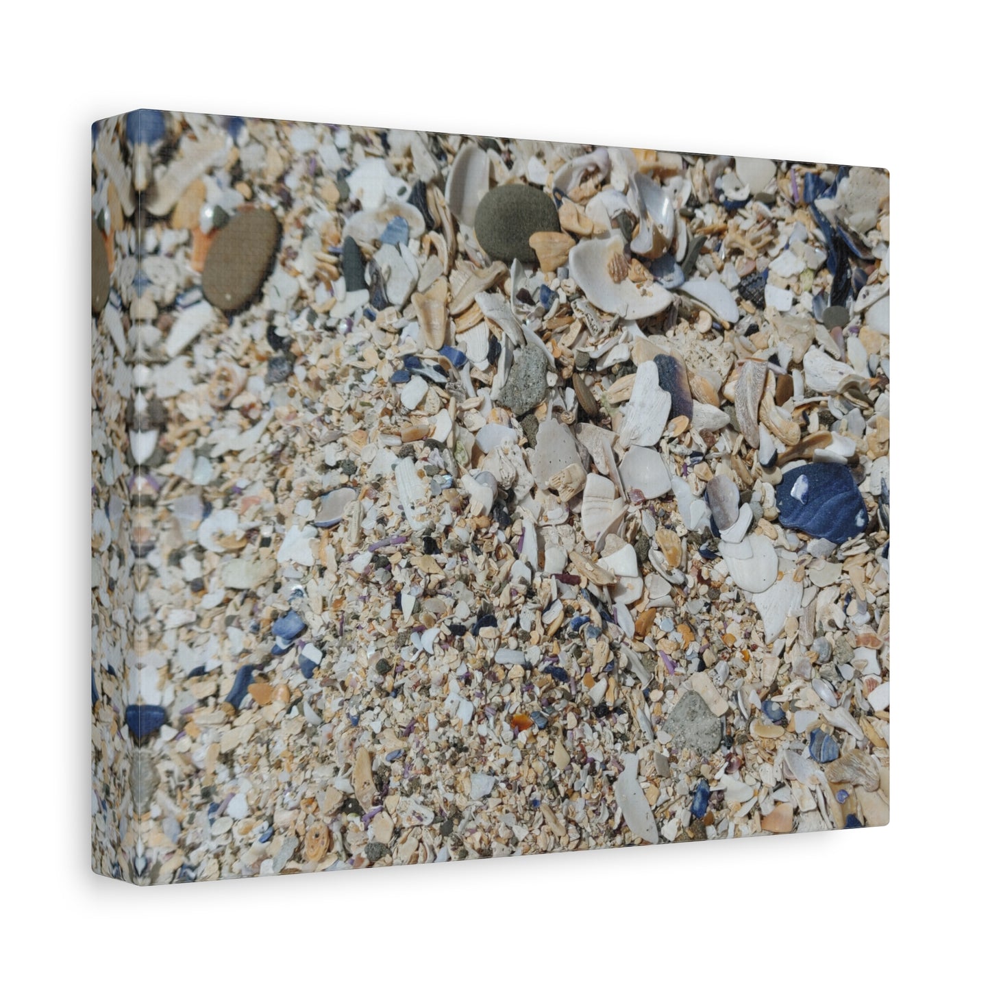 Shell Beach, Coastal Canvas Decor
