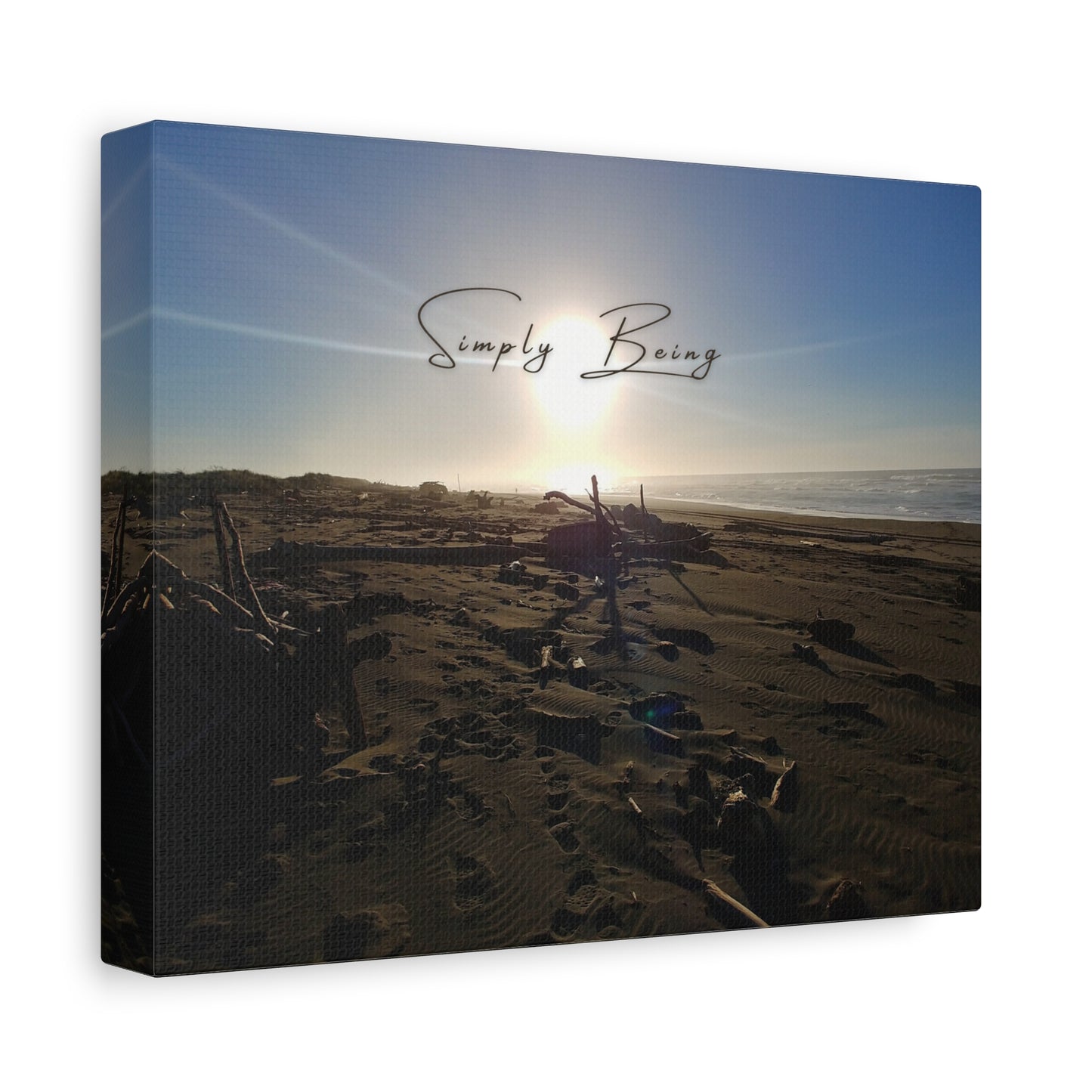 Simply Being, Driftwood Beach Print
