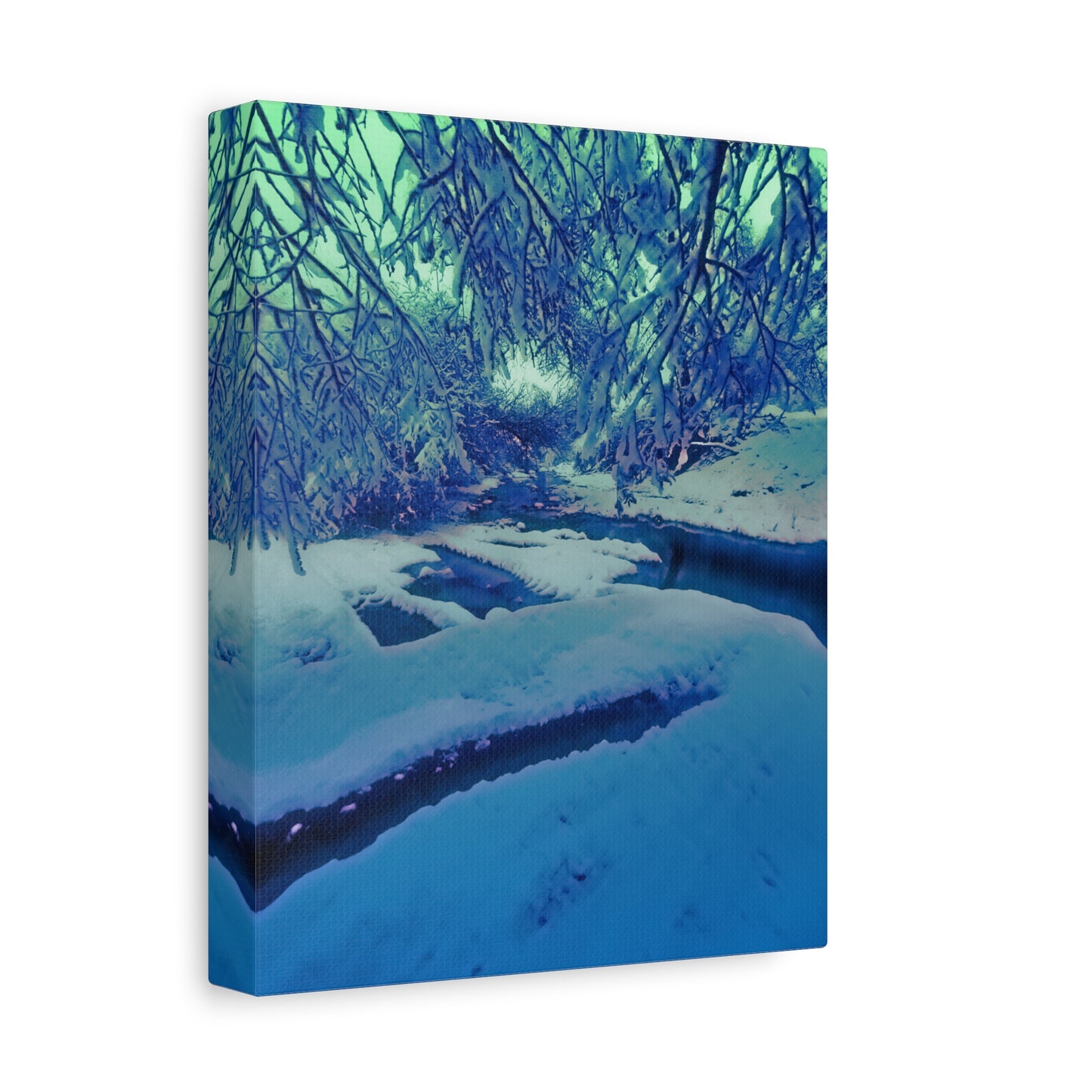 Winter Wonderland, 8x10" Wall Art