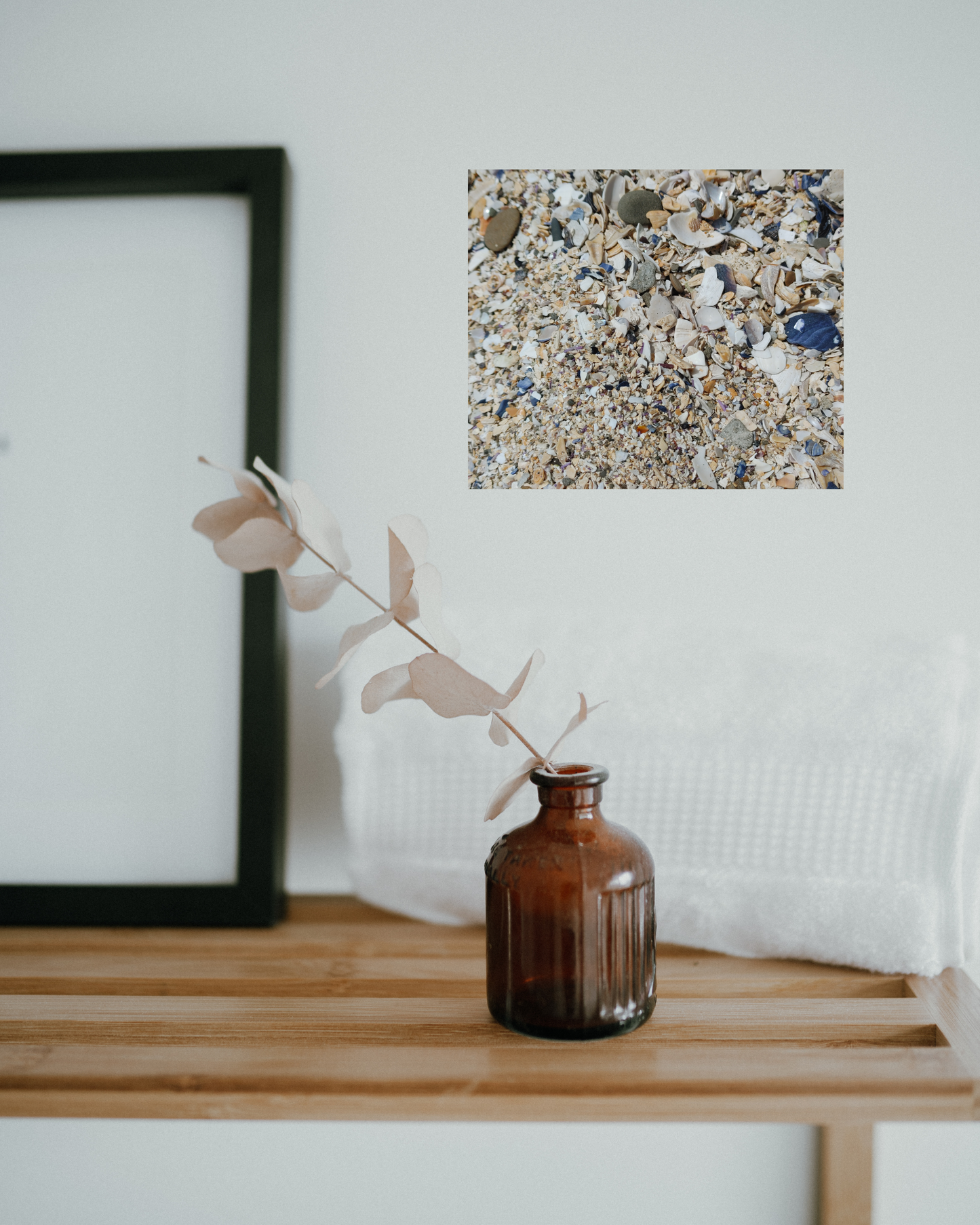Shell Beach, Coastal Canvas Decor