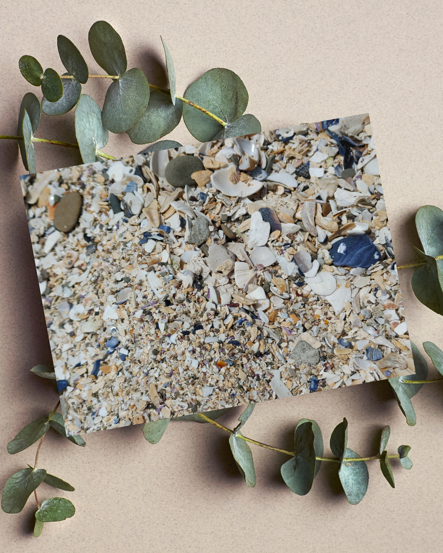 Shell Beach, Coastal Canvas Decor