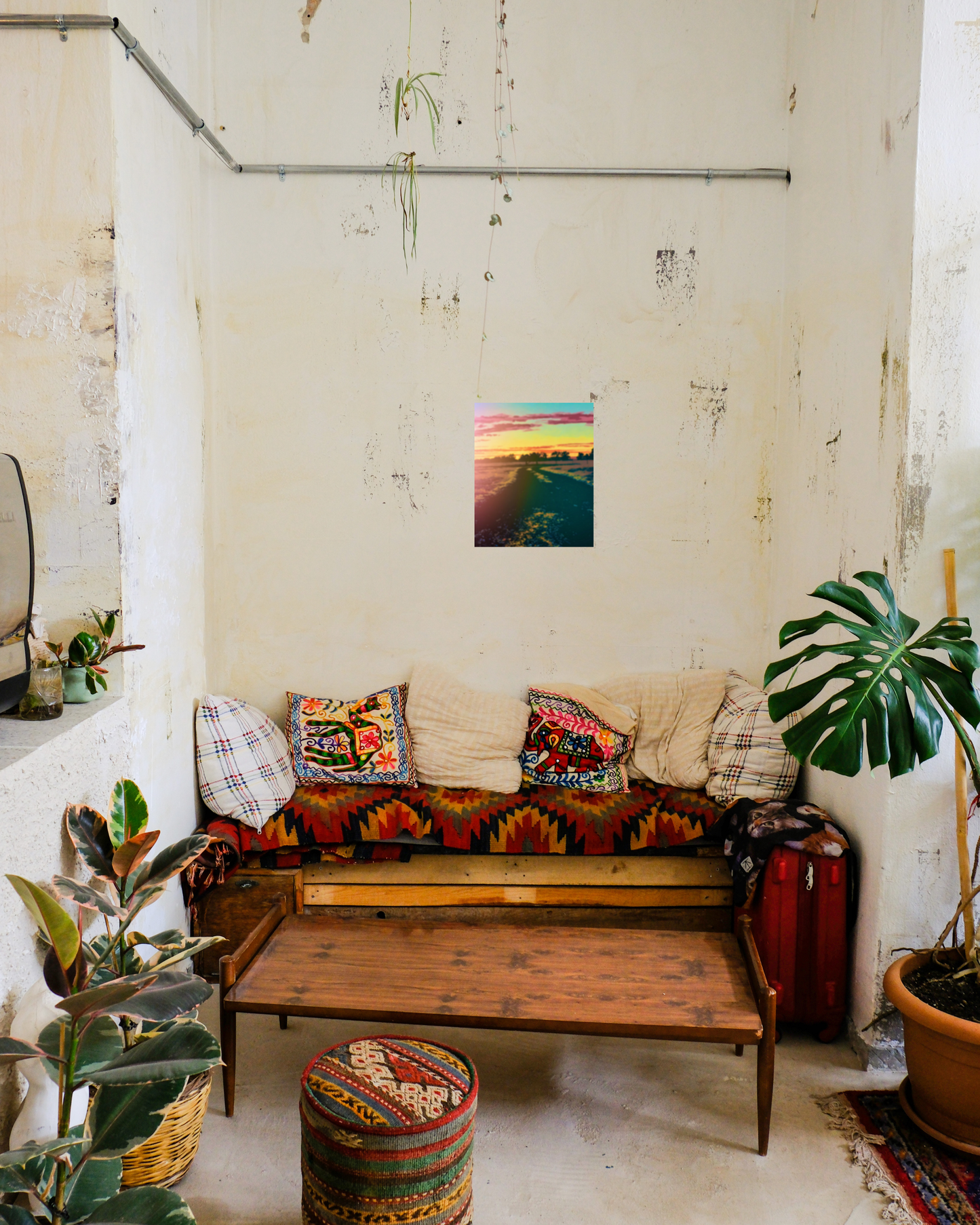 boho style living space with vibrant colors live plants and sunset open road print art