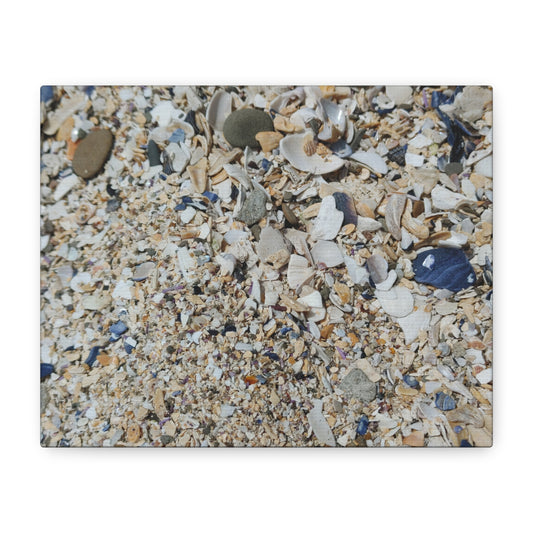 Shell Beach, Coastal Canvas Decor