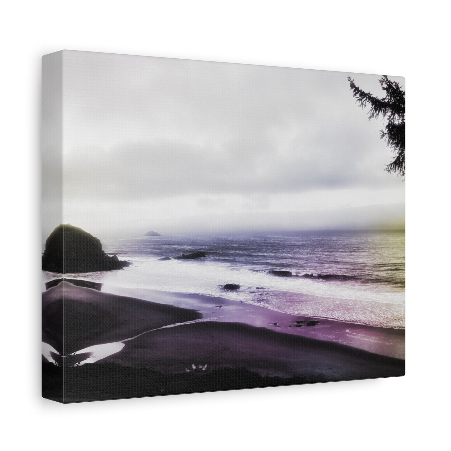 Ocean View, Hint of Color Canvas