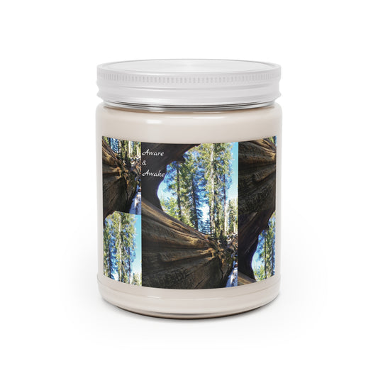 Consciousness Candle, Aware & Awake