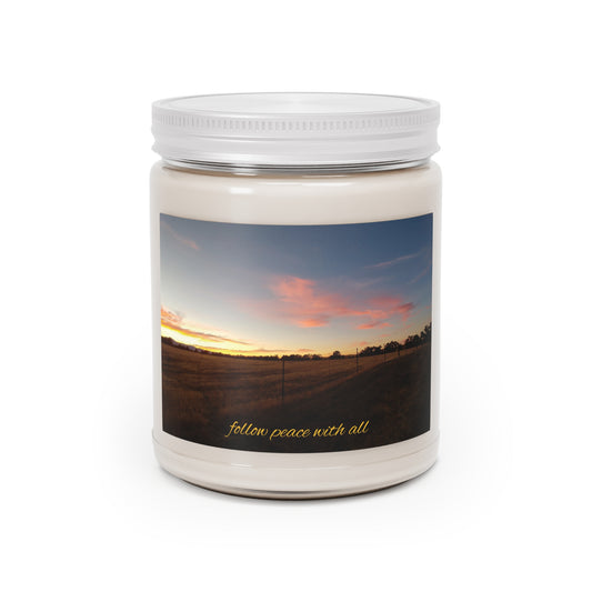 Unity Consciousness Candle, Follow Peace With All KJV