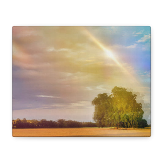 Endless Fields, Endless Skies, 8x10 Print