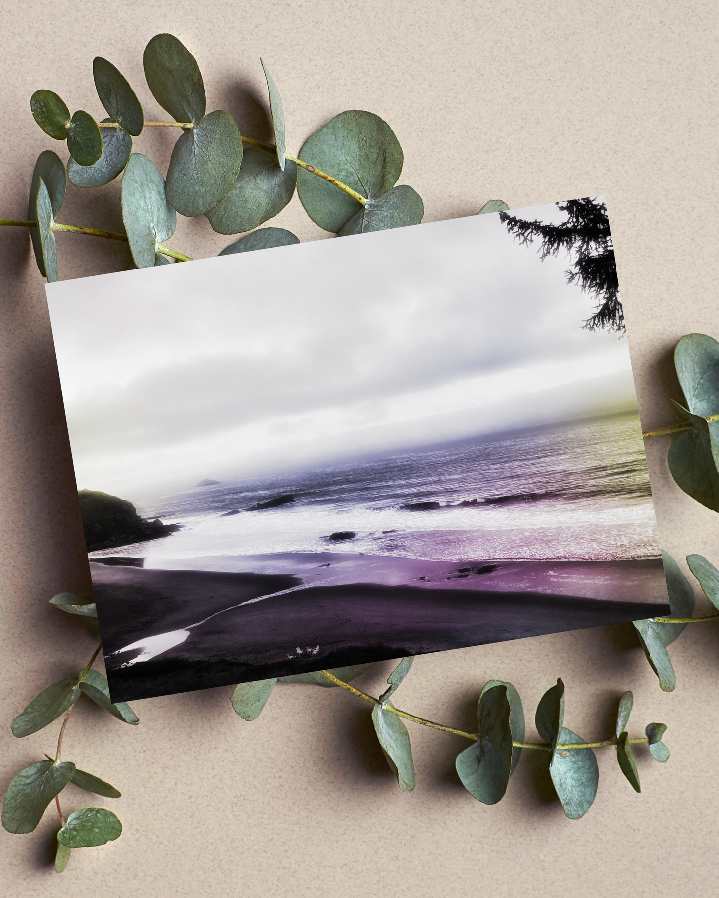 Ocean View, Hint of Color Canvas