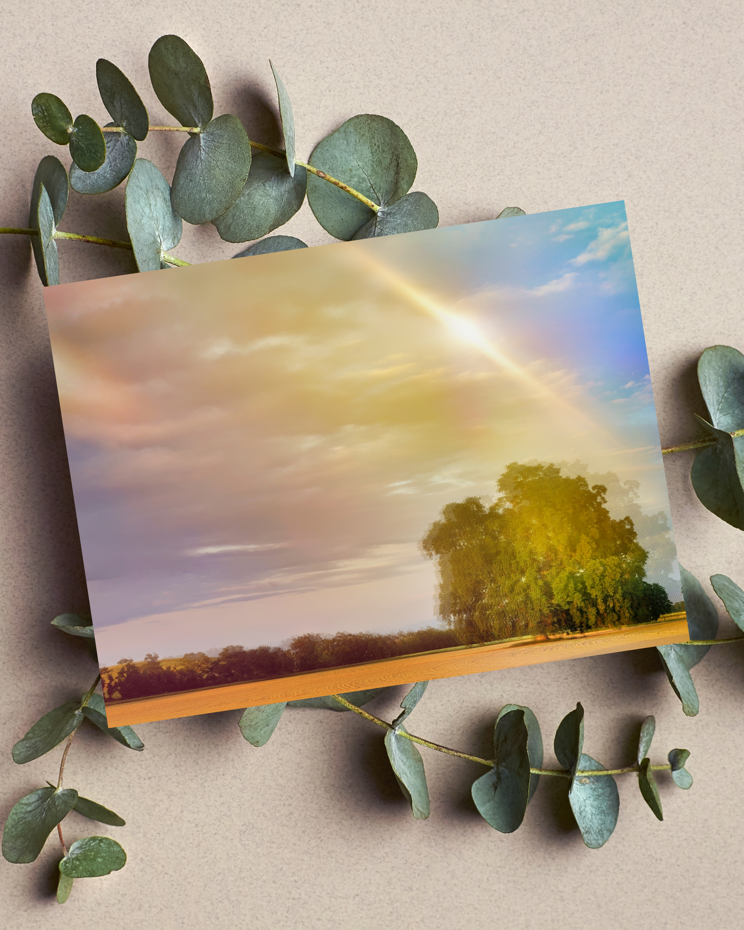 Endless Fields, Endless Skies, 8x10 Print