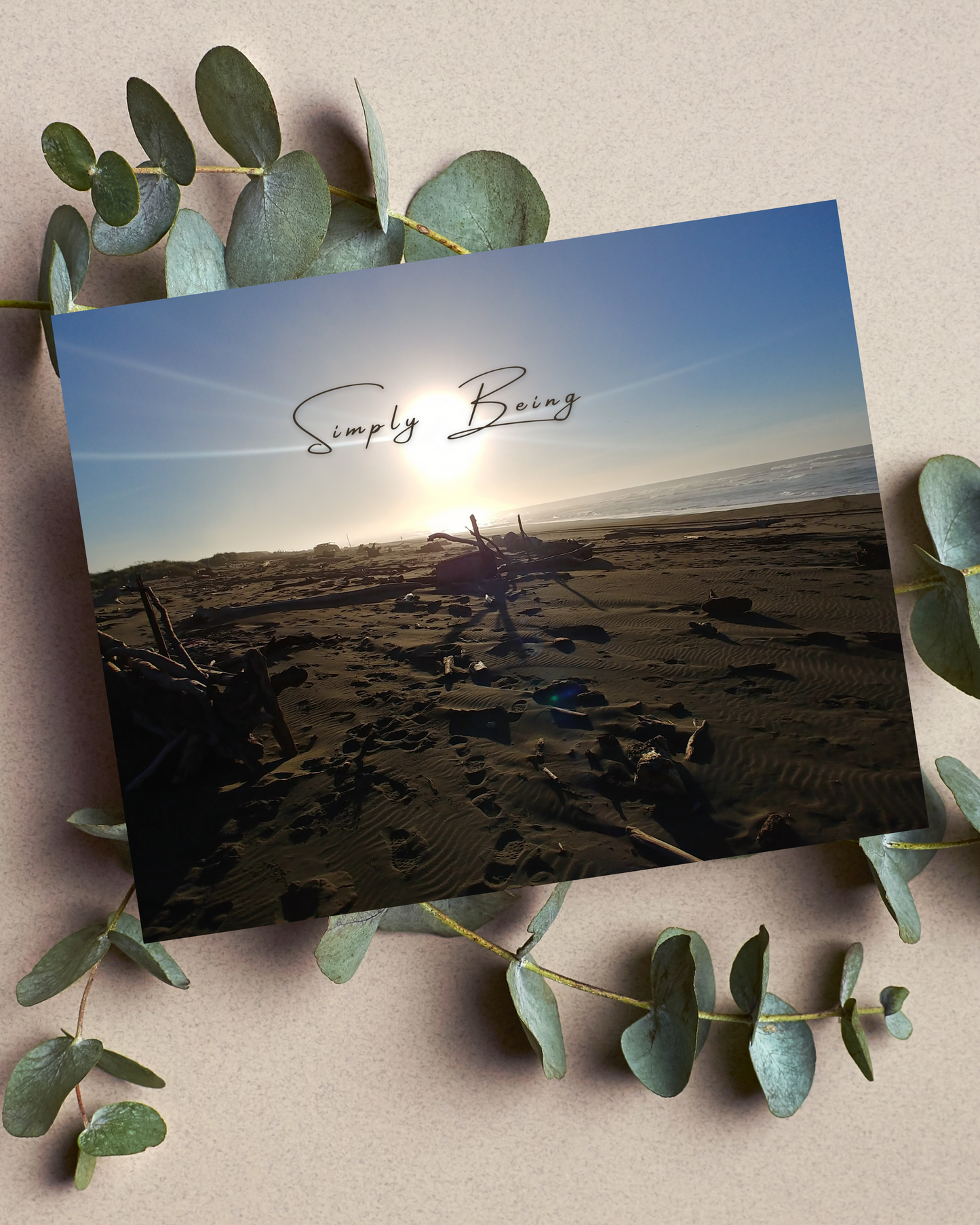 Simply Being, Driftwood Beach Print
